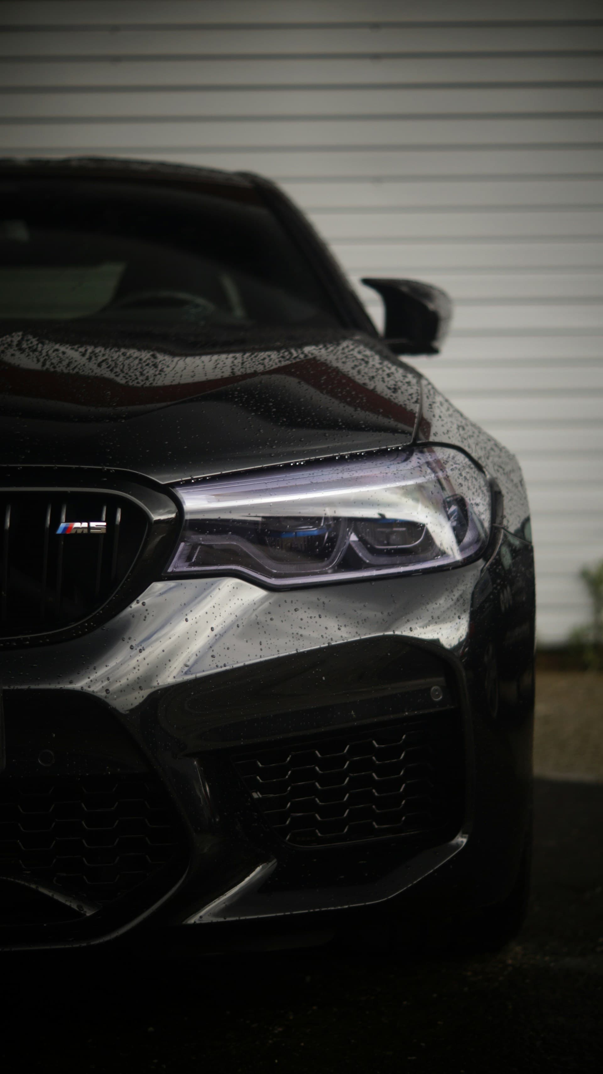 Bmw BMW M5